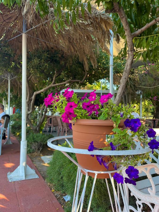 פסאלידי Theodorou Beach Hotel Apartments מראה חיצוני תמונה